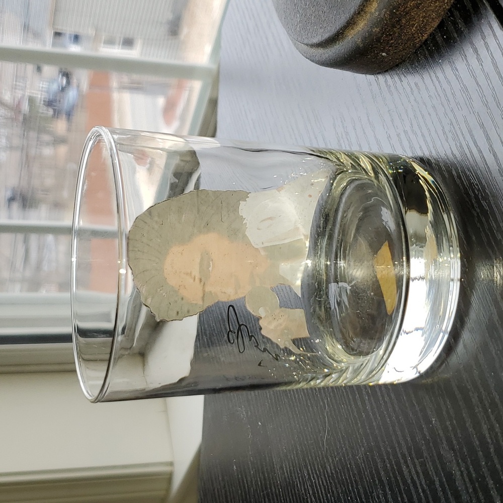 ELVIS PRESLEY GLASS - Picture 2 of 3